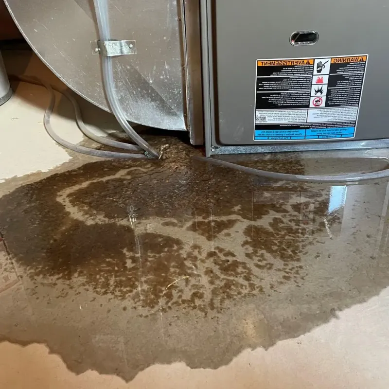 Pipe Burst and Leak Restoration in Myrtle Grove, NC
