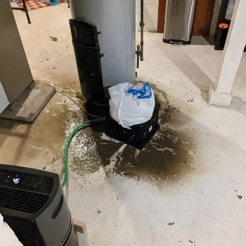 Sewage Backup Cleanup Service in Myrtle Grove, NC